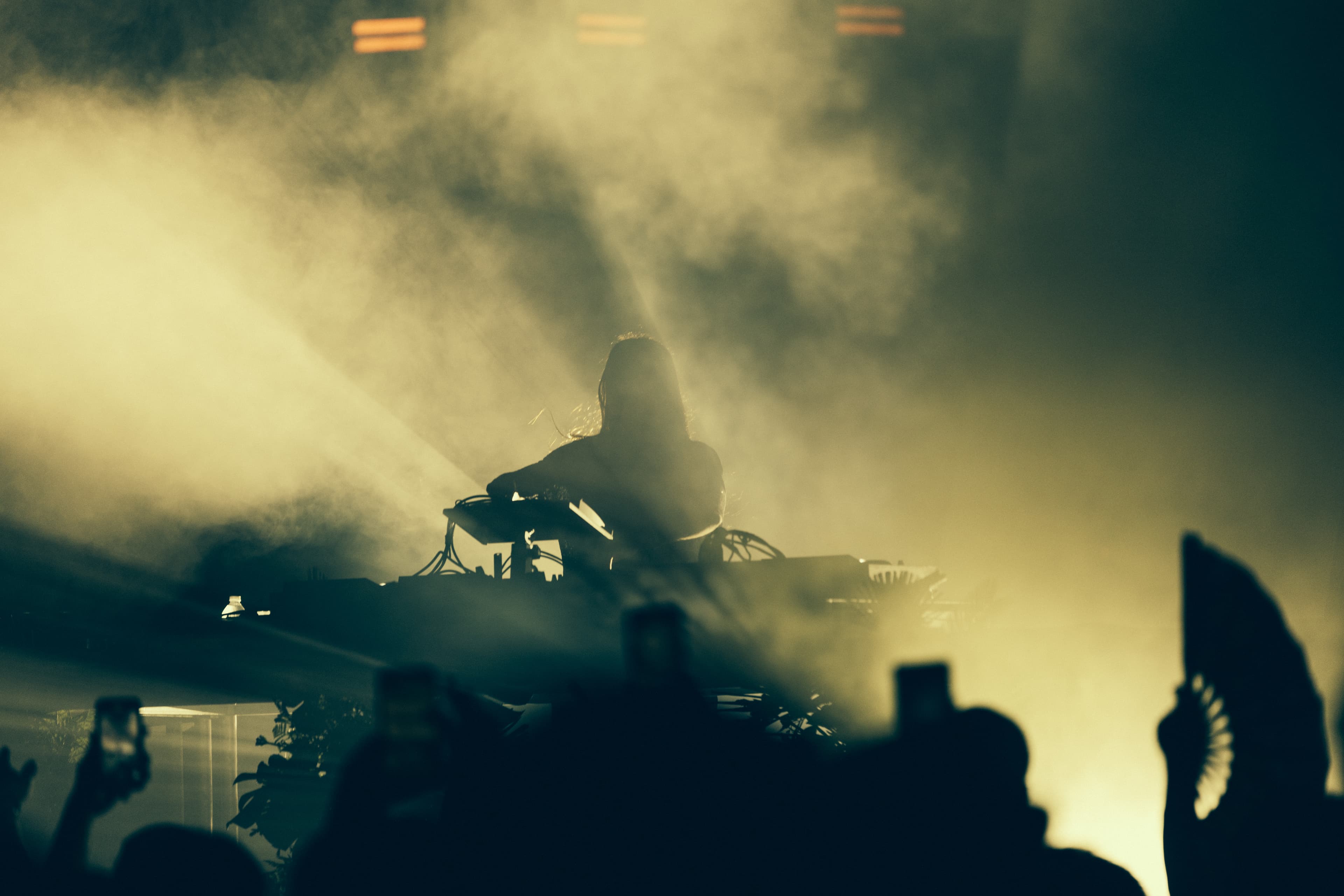 We Belong Here — Music Festival